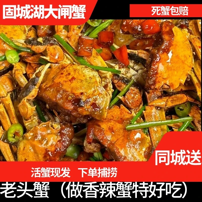 【活蟹现发固城湖老头蟹】 买15只送5只 做香辣蟹特好吃 嫌小慎拍