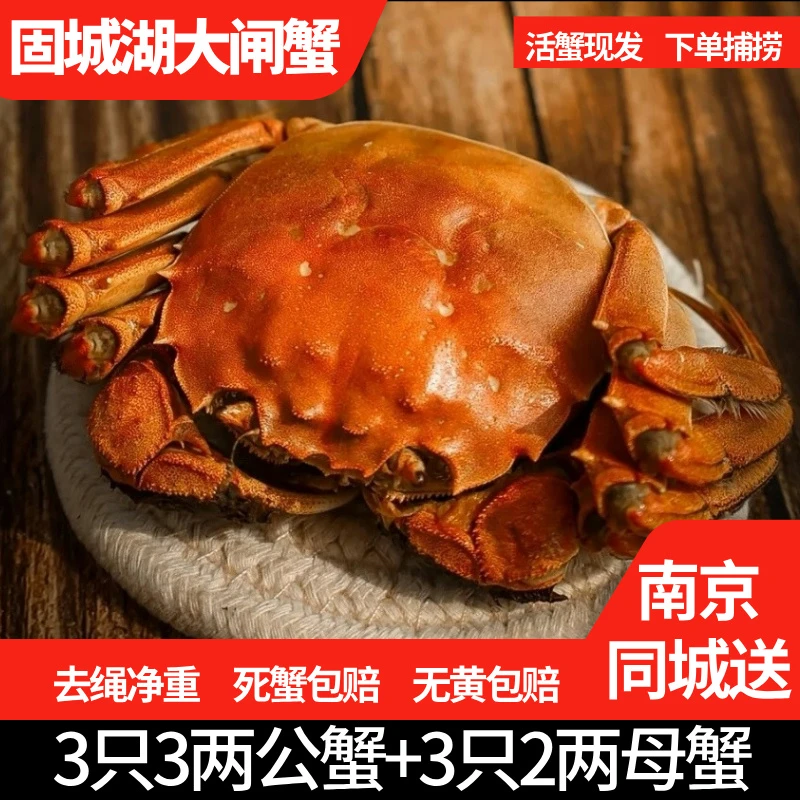 【早上发下午到】【3两公蟹2两母蟹共6只】固城湖大闸蟹 精品湖蟹活蟹
