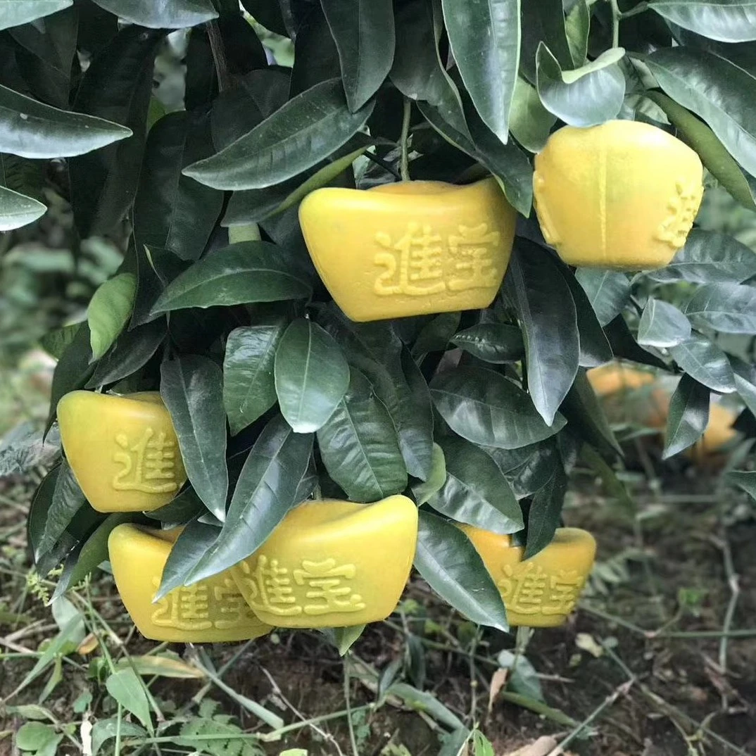 元宝柑，产于漳州市平和县，两个装约1200克左右