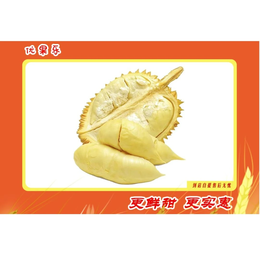 【优果乐青岛小时达】泰国树熟金枕榴莲肉1200克 饱满软糯 香糯可口