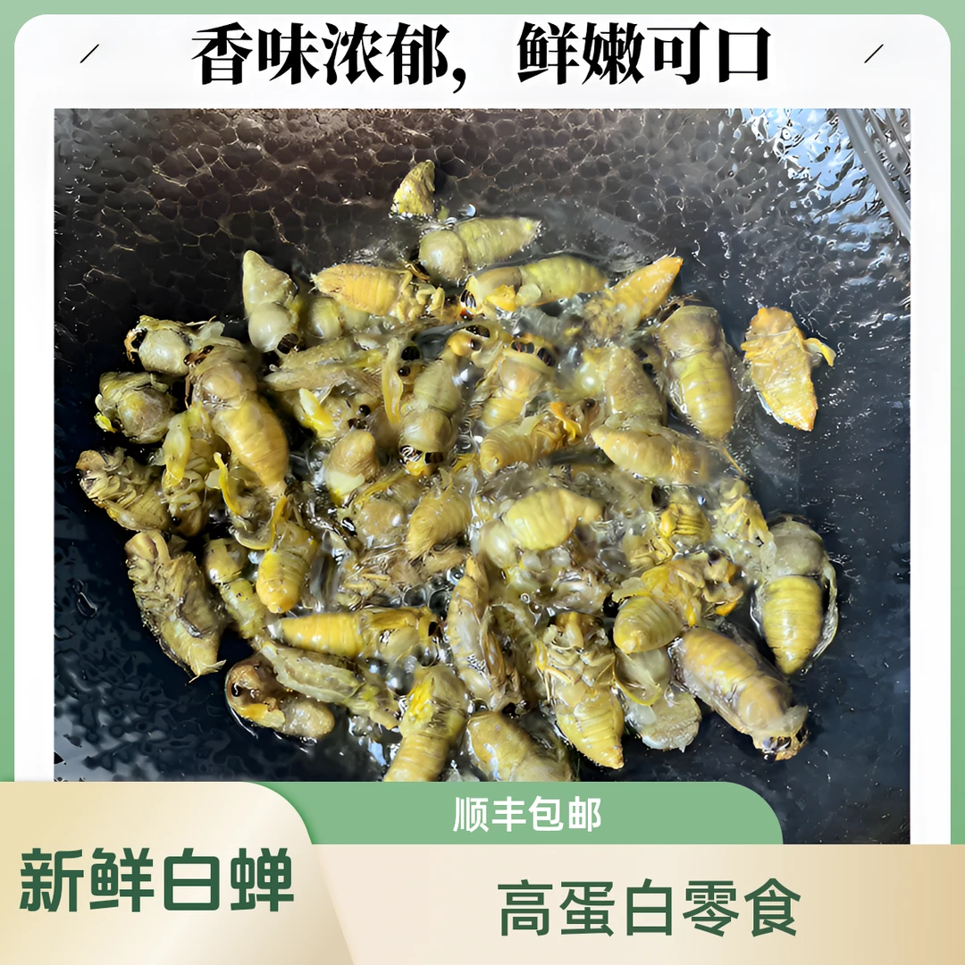 山东特产白蝉知了猴新鲜速冻冷冻蝉蛹爬叉猴营养食材油炸后香酥