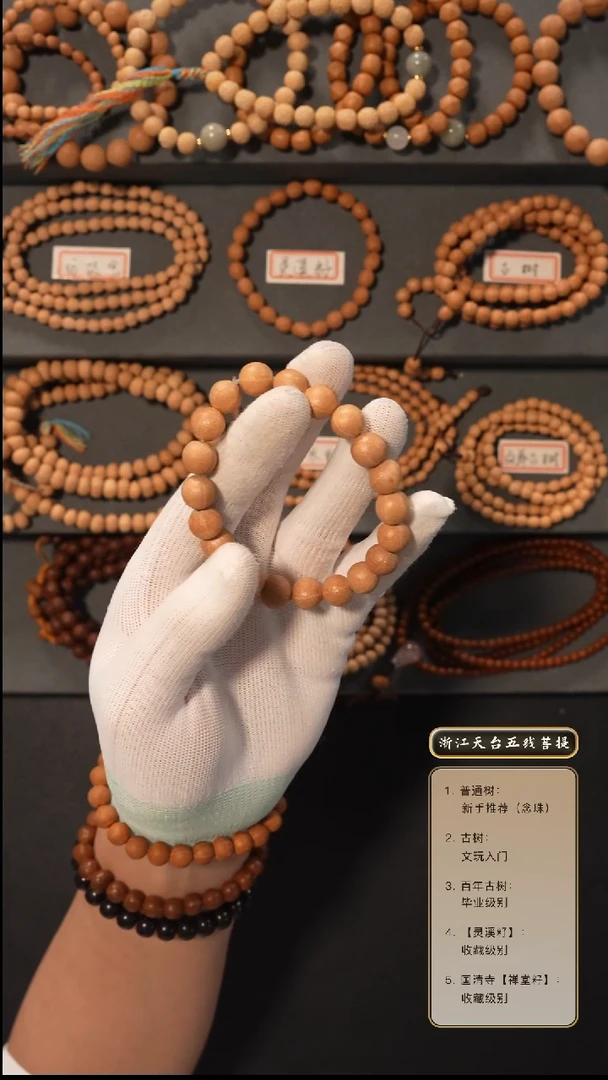【闪购商品】五线菩提吊坠手串