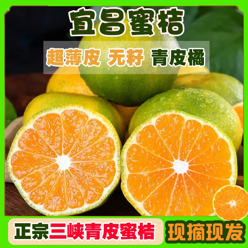 薄皮蜜橘现摘现发宜昌产地直发孕妇水果多汁桔子酸甜爽口青皮橘子