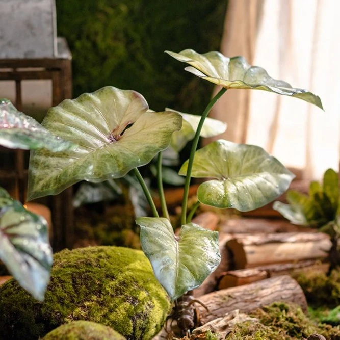 掬涵仿真带根须蕨类植物手感野芋叶绿植假花热带雨林装饰森系造景