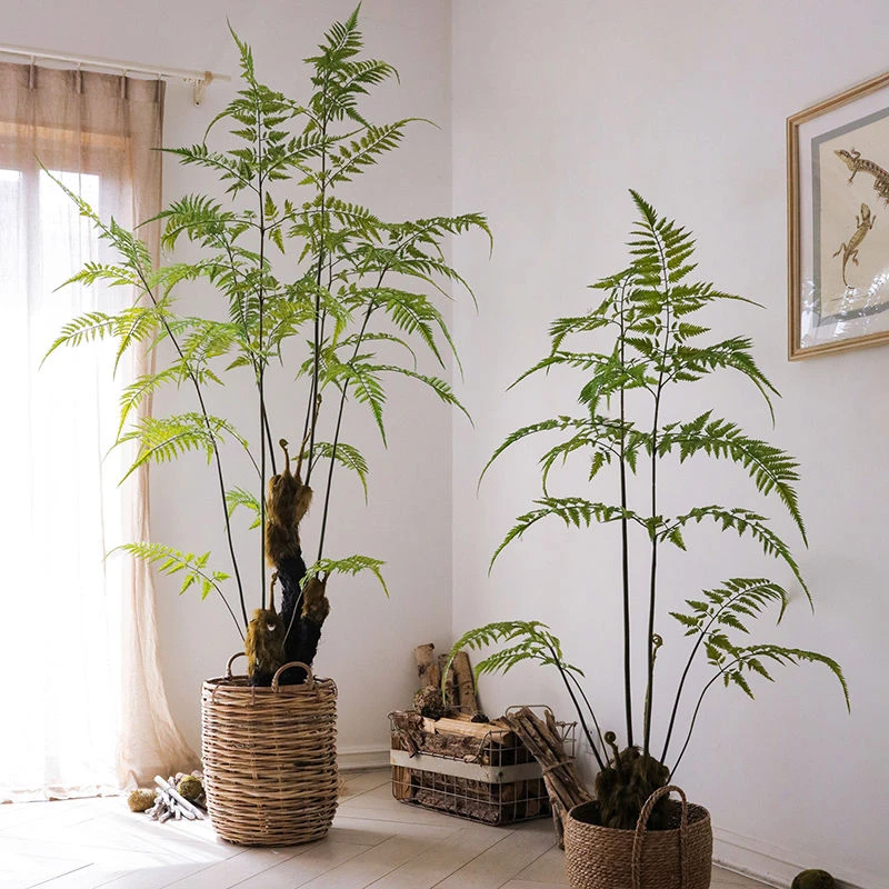 【安迪专属】大型仿真蕨类植物盆栽落地绿植装饰客厅盆景摆件