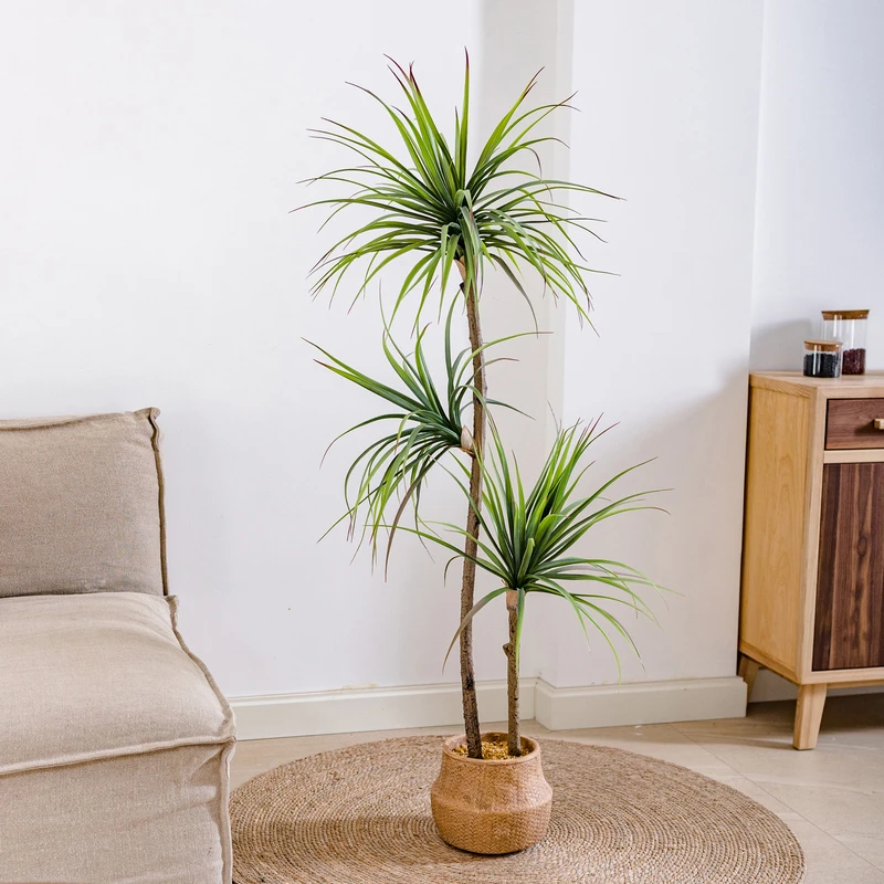 冰豆豆专属 轻奢仿真绿植龙舌兰假树盆栽