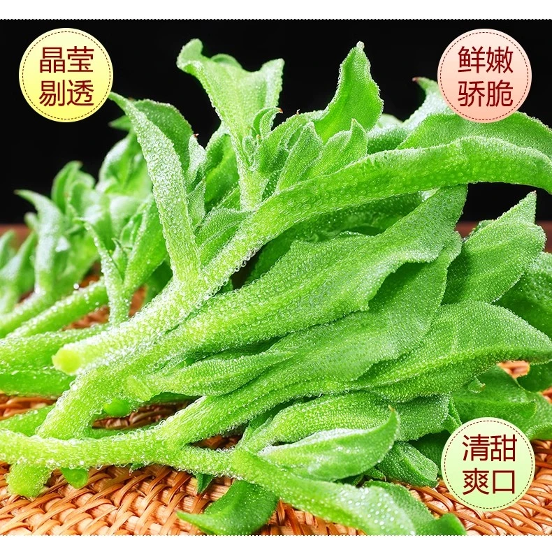 【直播】冰菜冰草种子 冰菜日中花自带冰晶四季阳台盆栽蔬菜种子