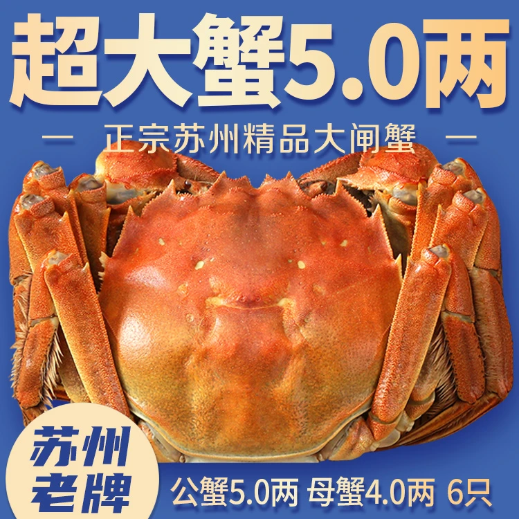 【5两蟹王+4两蟹后】苏州精挑大闸蟹特大新鲜螃蟹共6只冷链礼盒装