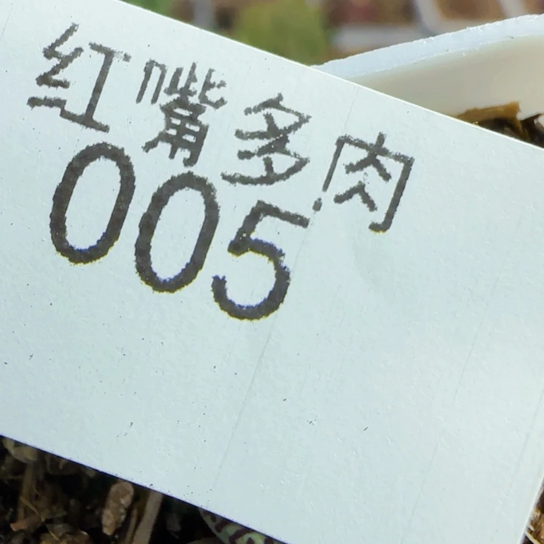 【闪购商品】5号链接3头超墨