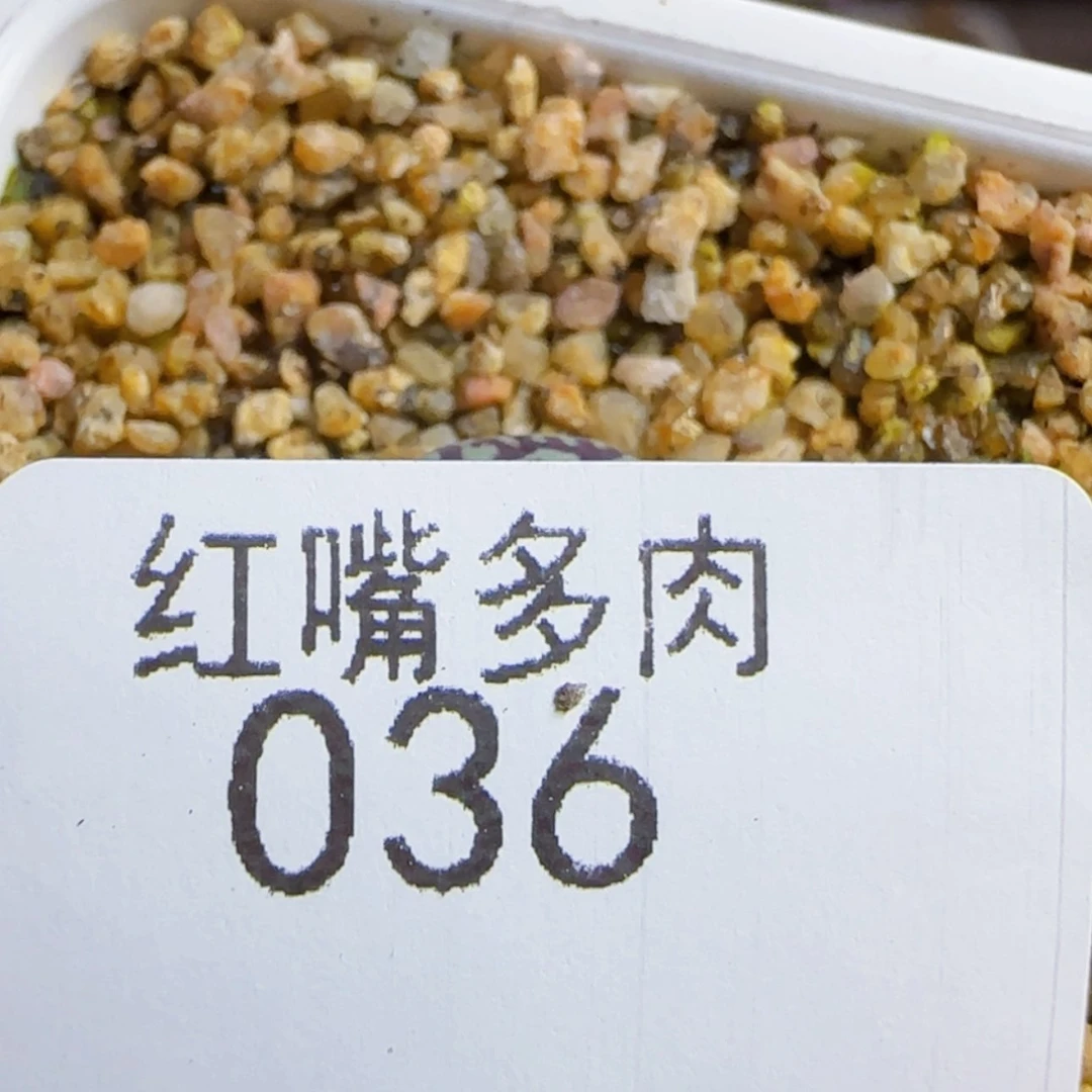 【闪购商品】36号链接3头超墨