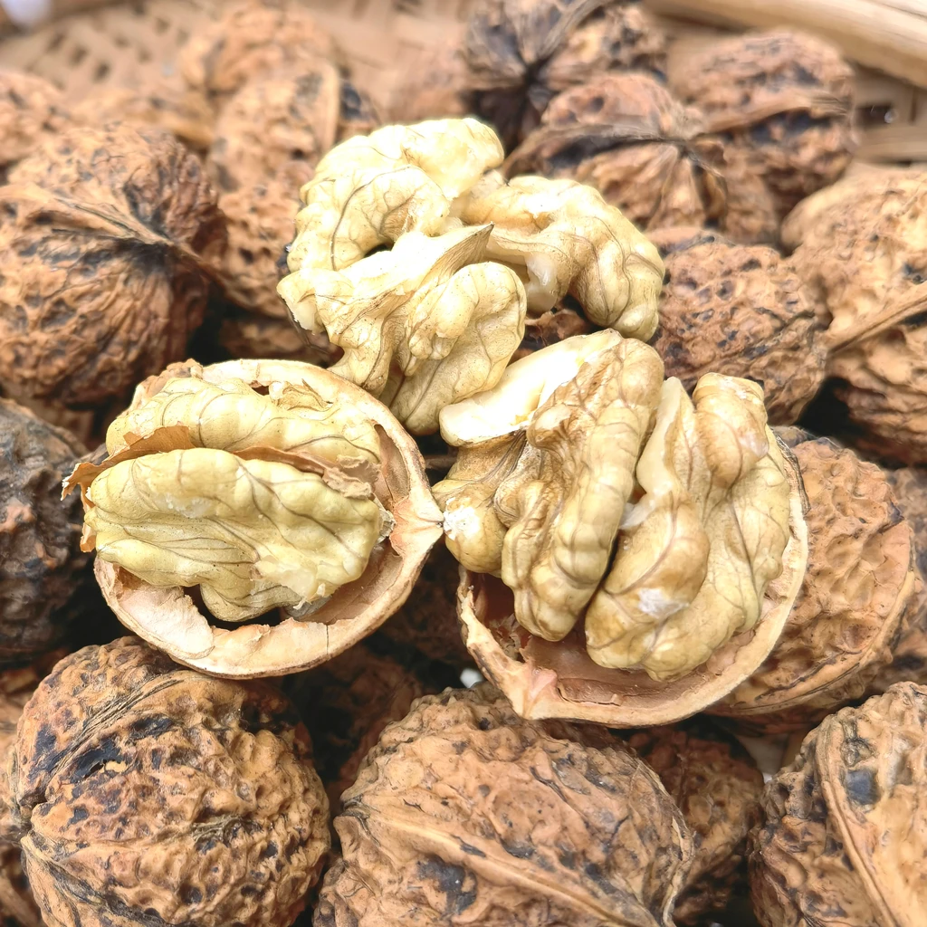 襄也山核桃 薄壳 今年的比去年好的，坏的少