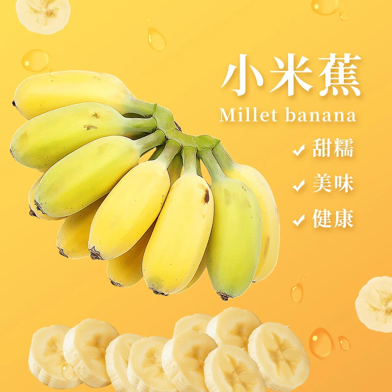 小米蕉甜糯新鲜现摘
