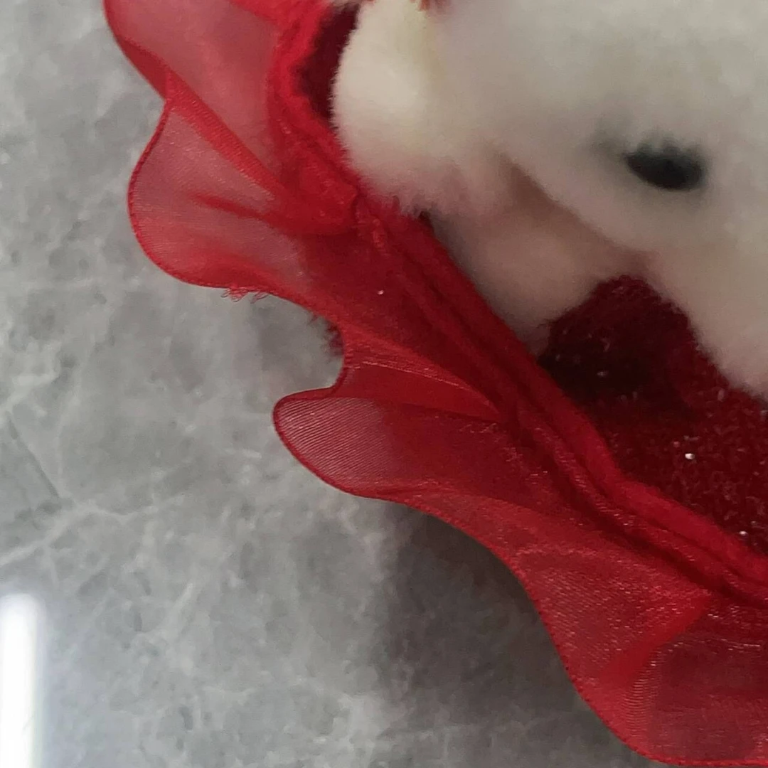 毛绒可爱爱心挂挂卡通玩具
