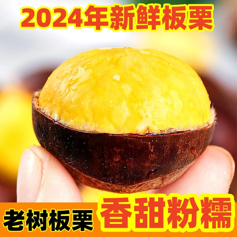 【发五斤】丹东新鲜生板栗板栗香甜五斤F01