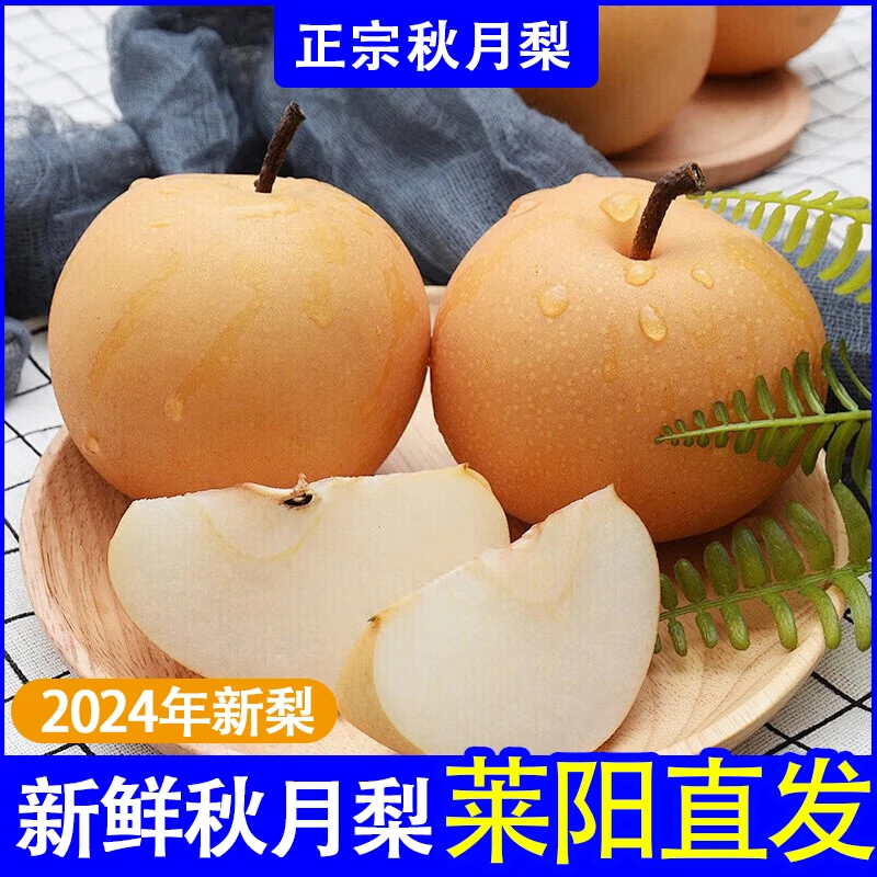 正宗秋月梨山东莱阳新鲜梨子当季水果5斤现摘整箱发货
