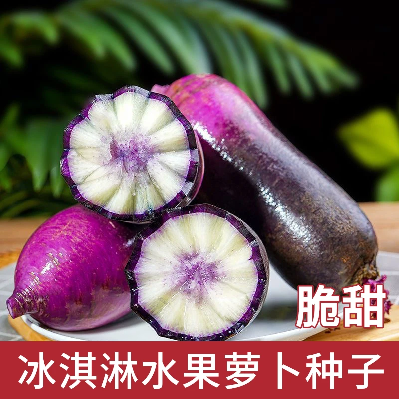 （拍2发3）冰淇淋萝卜种子冰糖心水果萝卜四季播种孑紫皮蔬菜种籽