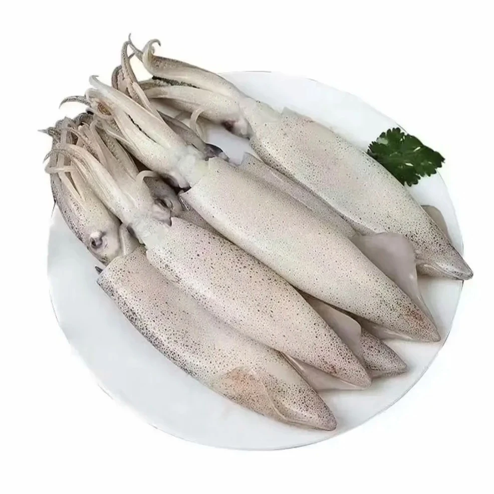 园园海鲜 连云港发货 新鲜速冻发货 鲜海兔 500g/包到手4包