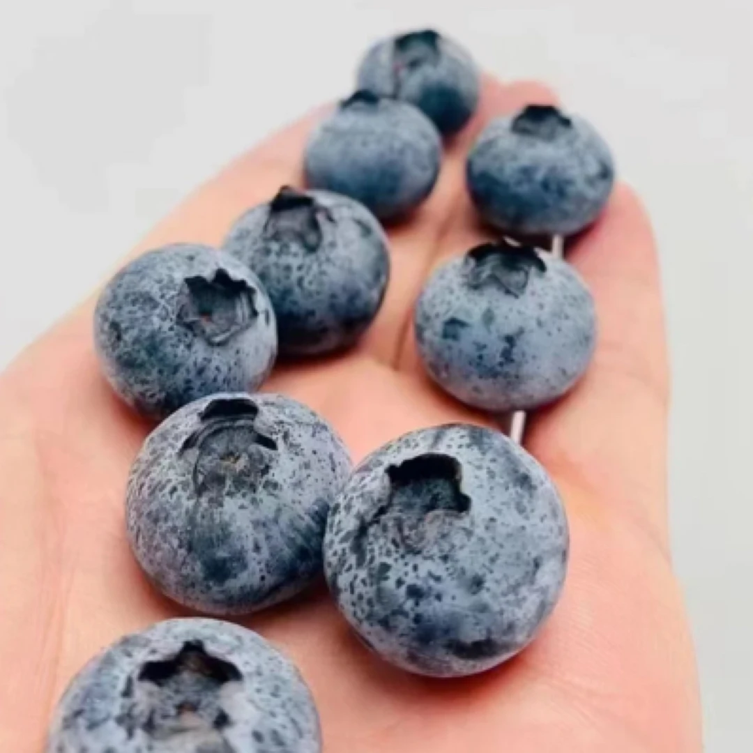 （泡沫箱）15➕L25花香蓝莓一盒二盒