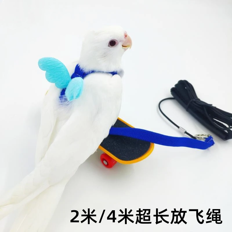 玄凤鹦鹉放飞绳超轻鸟背带外出遛鸟绳虎皮牡丹无伤栓鹦鹉放飞绳