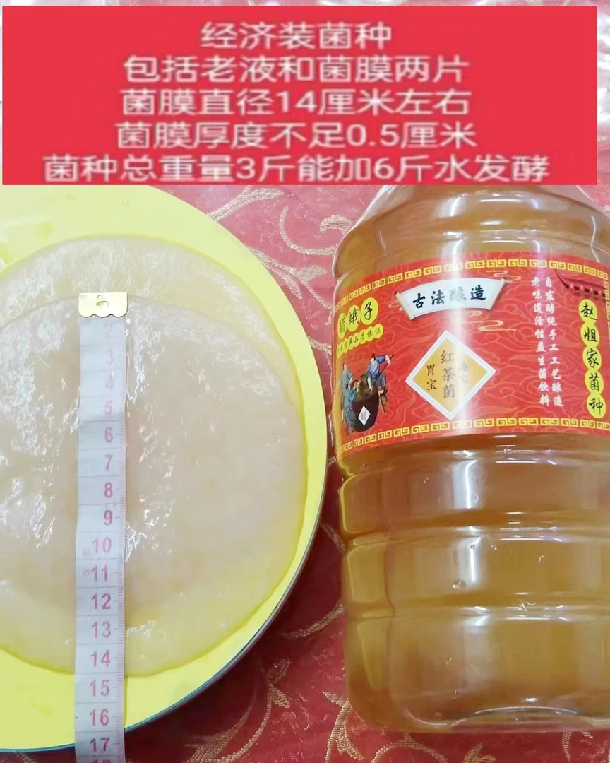 红茶菌醋娥子.2片菌膜加菌液一共发3斤自己回去发酵好了酸甜饮料