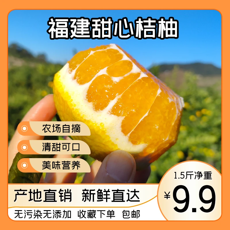福建甜心桔柚尝鲜实惠装甜甜产地直发老少皆宜橘柚
