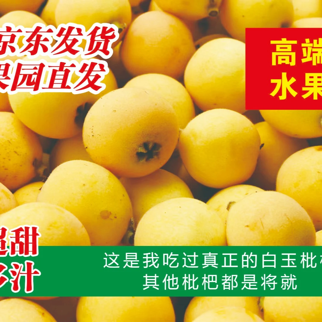 莆田香妃白玉【白梨甜枇杷3斤5斤8斤净重鲜果包邮多汁现摘现发