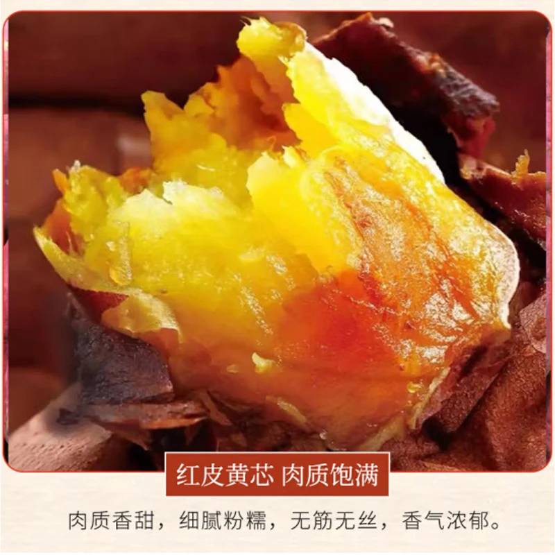 【全爸专属】湛江玛莎莉蜜薯地瓜黄心薯糖心红薯新鲜番薯农家3斤起