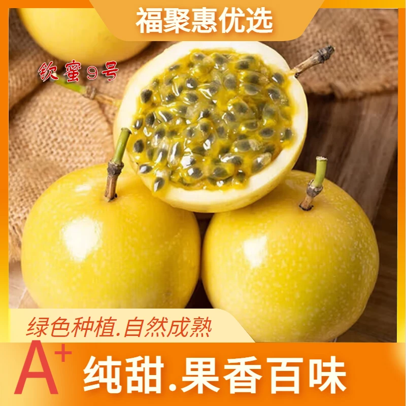 【全爸专属】湛江钦蜜9号黄金百香果现摘新鲜香甜口感（南宁中转）