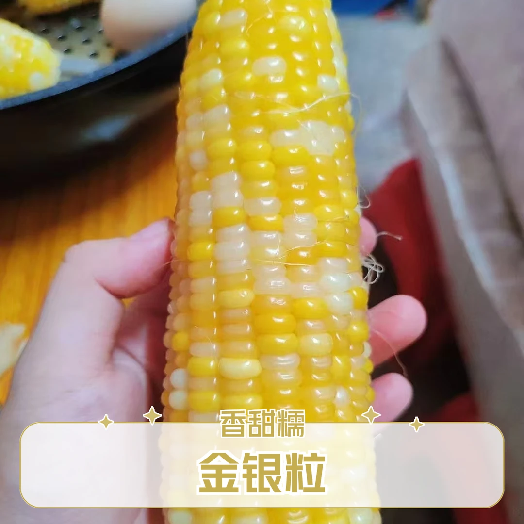 【试吃2根】东北金银黄糯玉米三糯粒一甜粒12根独立真空透明袋包装