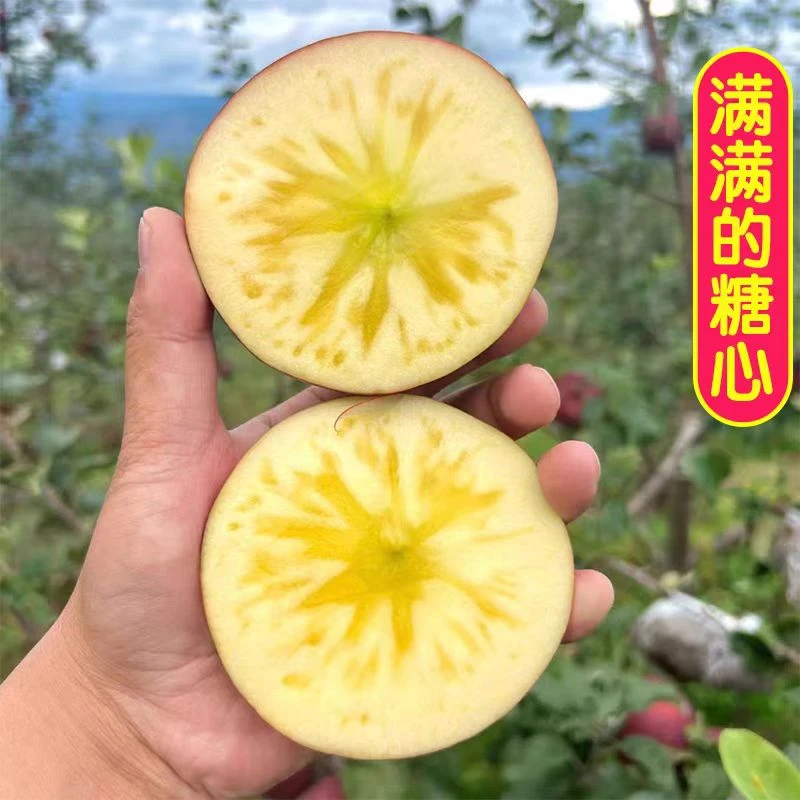 大凉山丑苹果 口感甜脆 多汁 净重5斤