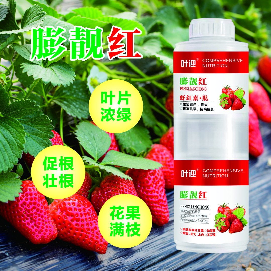 叶迎膨靓红草莓番茄增甜上色膨果防裂不伤花果蜜蜂氨基酸叶面肥