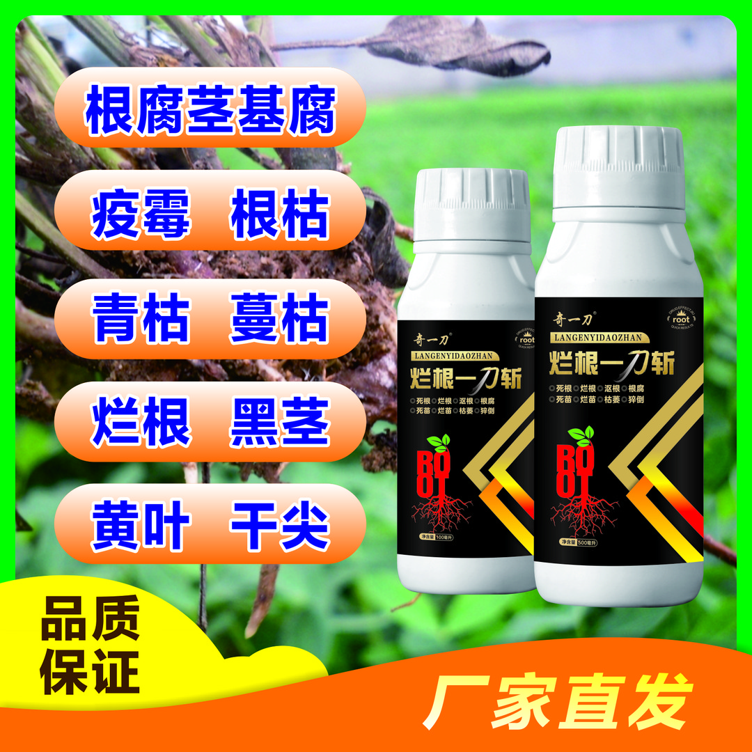 烂根一刀斩 根腐茎基腐 根枯 烂根根部病害 抗病增产微生物菌剂