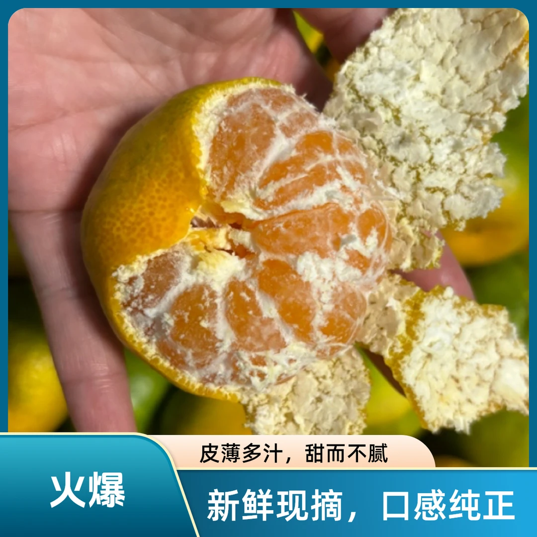 临海应季新鲜采摘酸甜皮薄橘浙江台州涌泉蜜桔桔子临海涌泉蜜桔