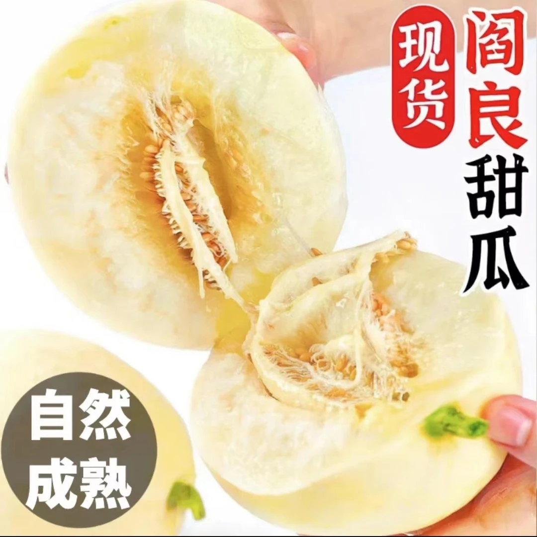 陕西阎良小籽甜瓜软糯香甜果肉细腻应季水果产地直达1/5/9斤