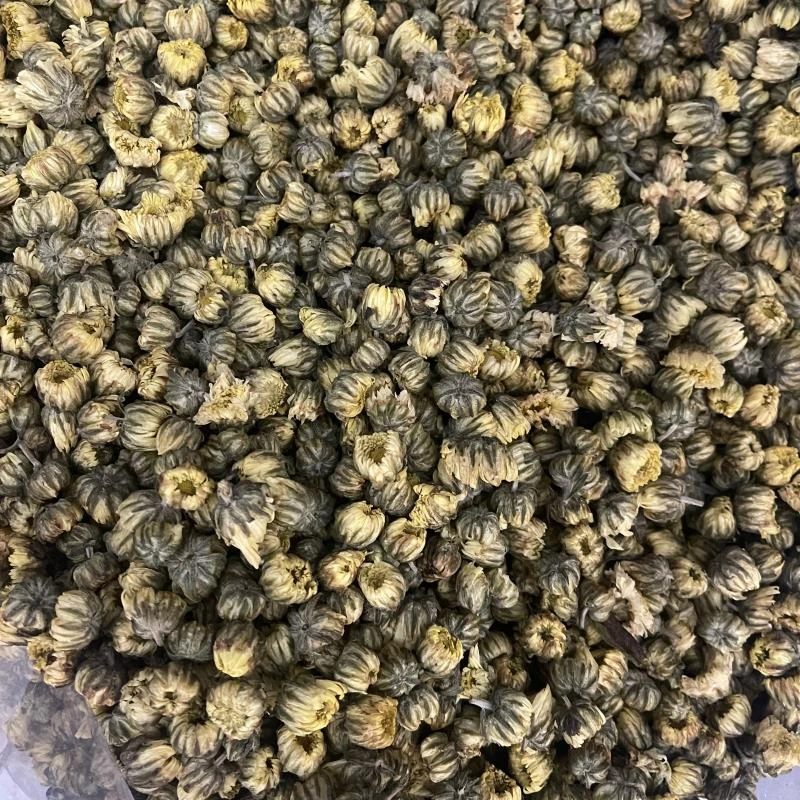 【玉姐精选】胎菊王泡水菊花茶 50g （胶）