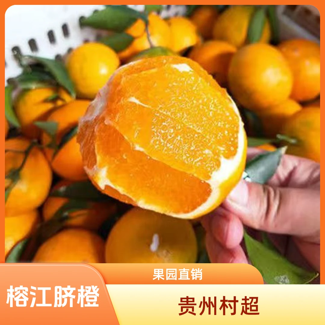 榕江脐橙贵州村超西瓜妹果园甜甜高山脐橙【京东快递】