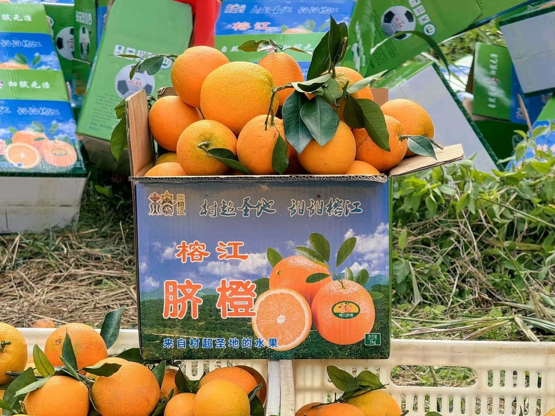 5斤大中小混装正宗榕江脐橙原产地直发饱满甜蜜