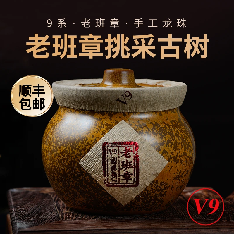 老班章V9 古树龙珠 2024普洱春茶龙珠茶古树生茶 帮哥的龙珠