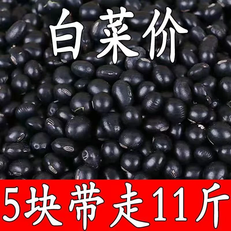 【今日特价】东北黑豆5斤黄仁发芽打豆浆泡醋杂粮黄芯心黑豆10g