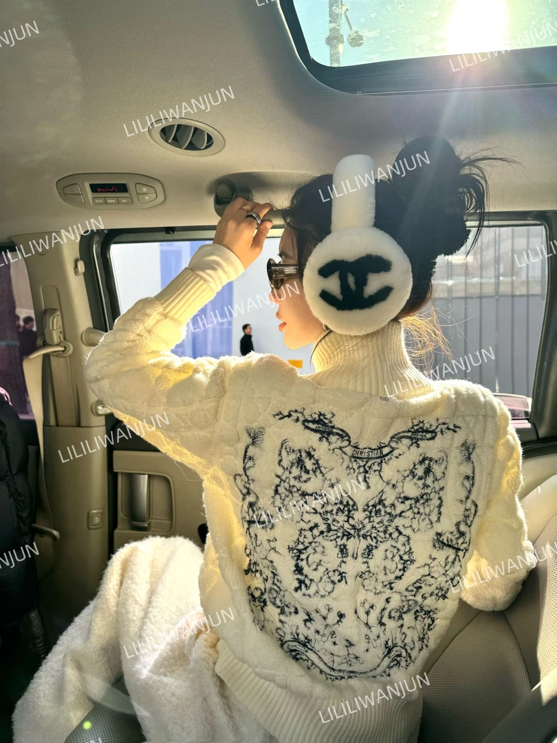 婉君【小蜜蜂毛衣】秋冬时尚休闲百搭潮流针织毛针衫LWJ24D4M2484