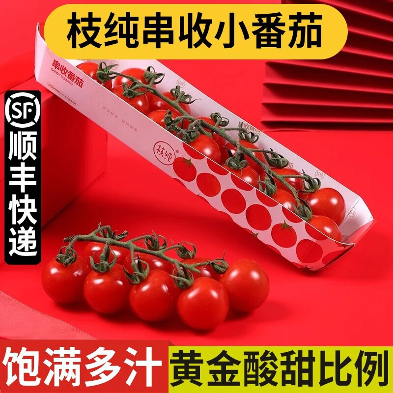 李享食丰甘肃枝纯小番茄【顺丰】新鲜串枝樱桃小番茄原味西红柿酸甜