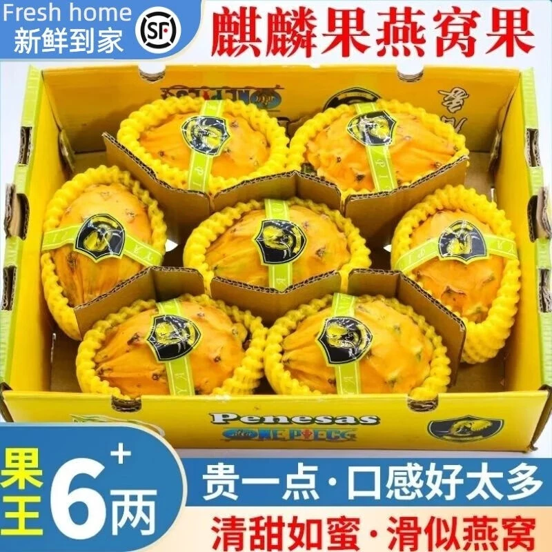 李享食丰【顺丰包邮】海南三亚燕窝果新鲜麒麟果黄火龙果礼盒装送礼