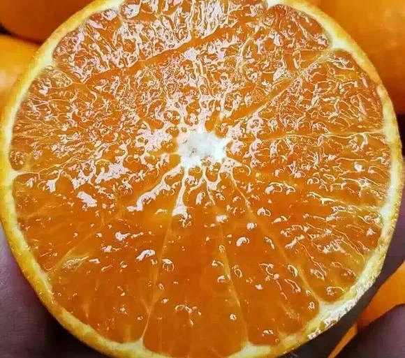 2PH澳洲进口蜜柑橘29.9一斤