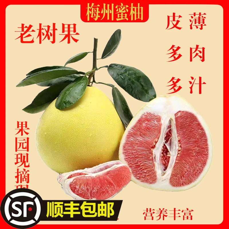 梅州白心红心蜜柚自家果园老树果现摘现发顺丰包邮中秋佳品送礼