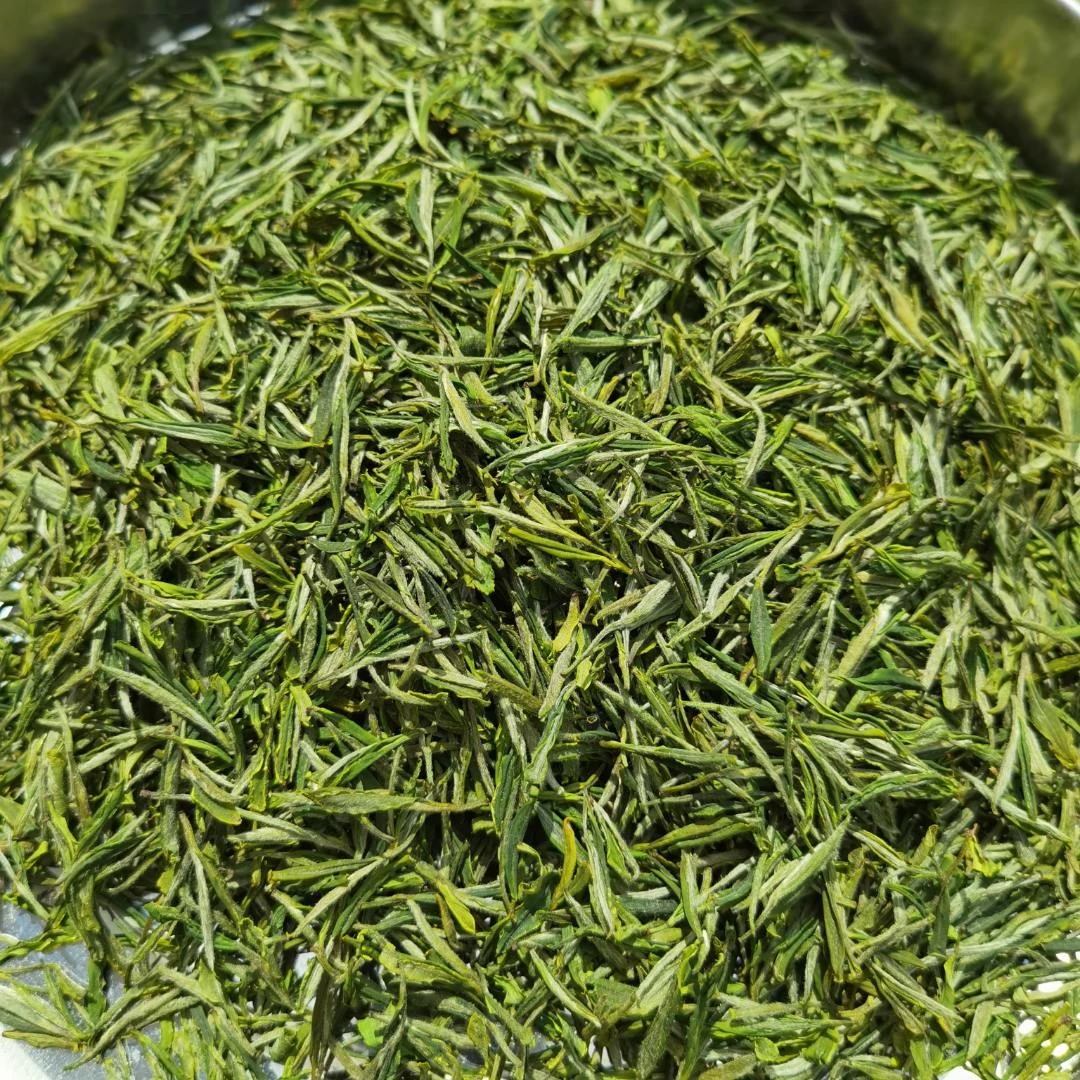 竹林乡春2025岳西翠兰  临时链接  250g/500g  B2