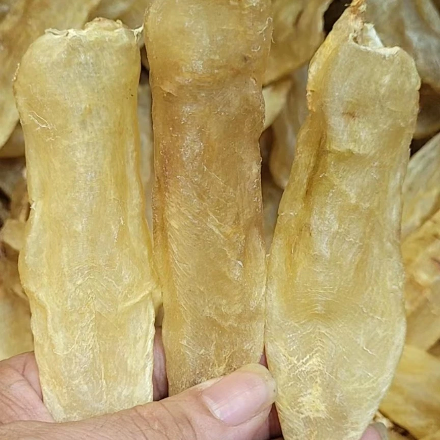 蜘蛛母胶 营养好 性价比高的鱼胶 广东老干货1～500g