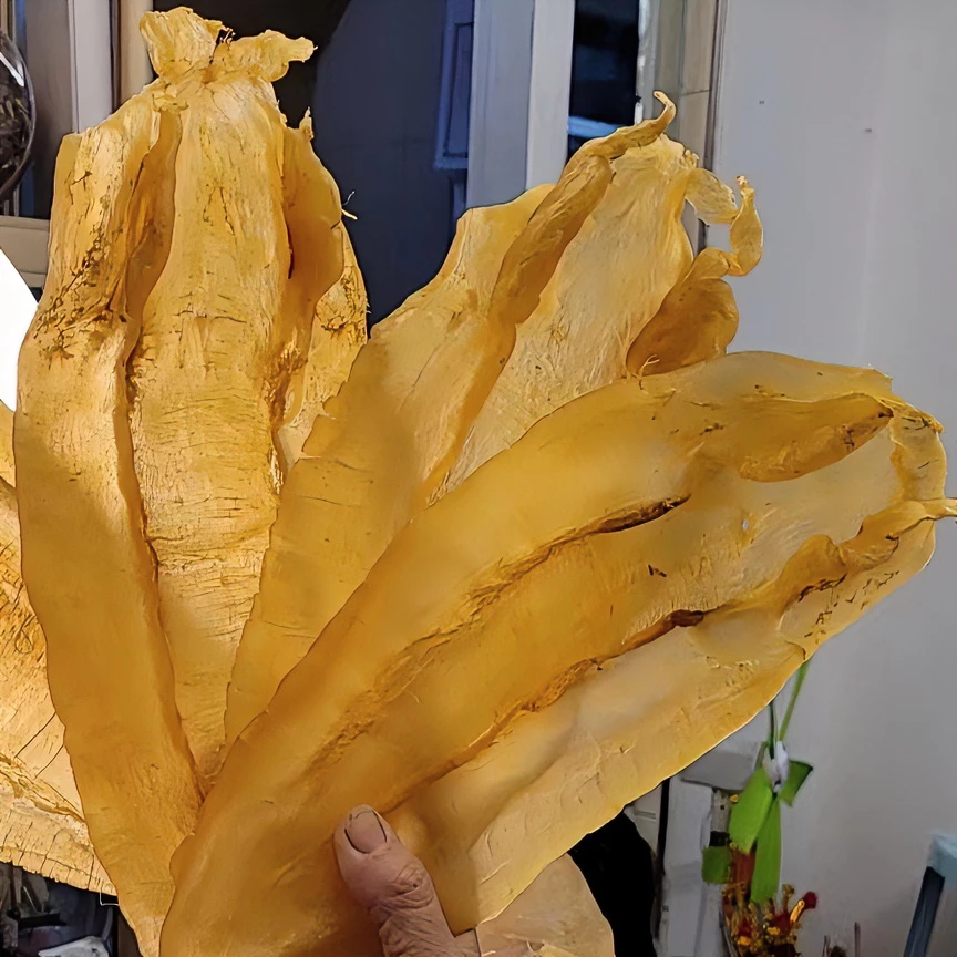 苏公来自深海鱼胶 肉质细腻口感Q弹 广东老花胶1~500g