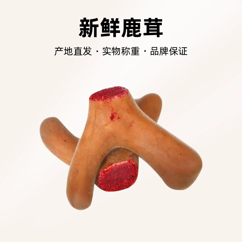 ［小刘推荐］新鲜 鹿茸 产地直发 以实物称重为准