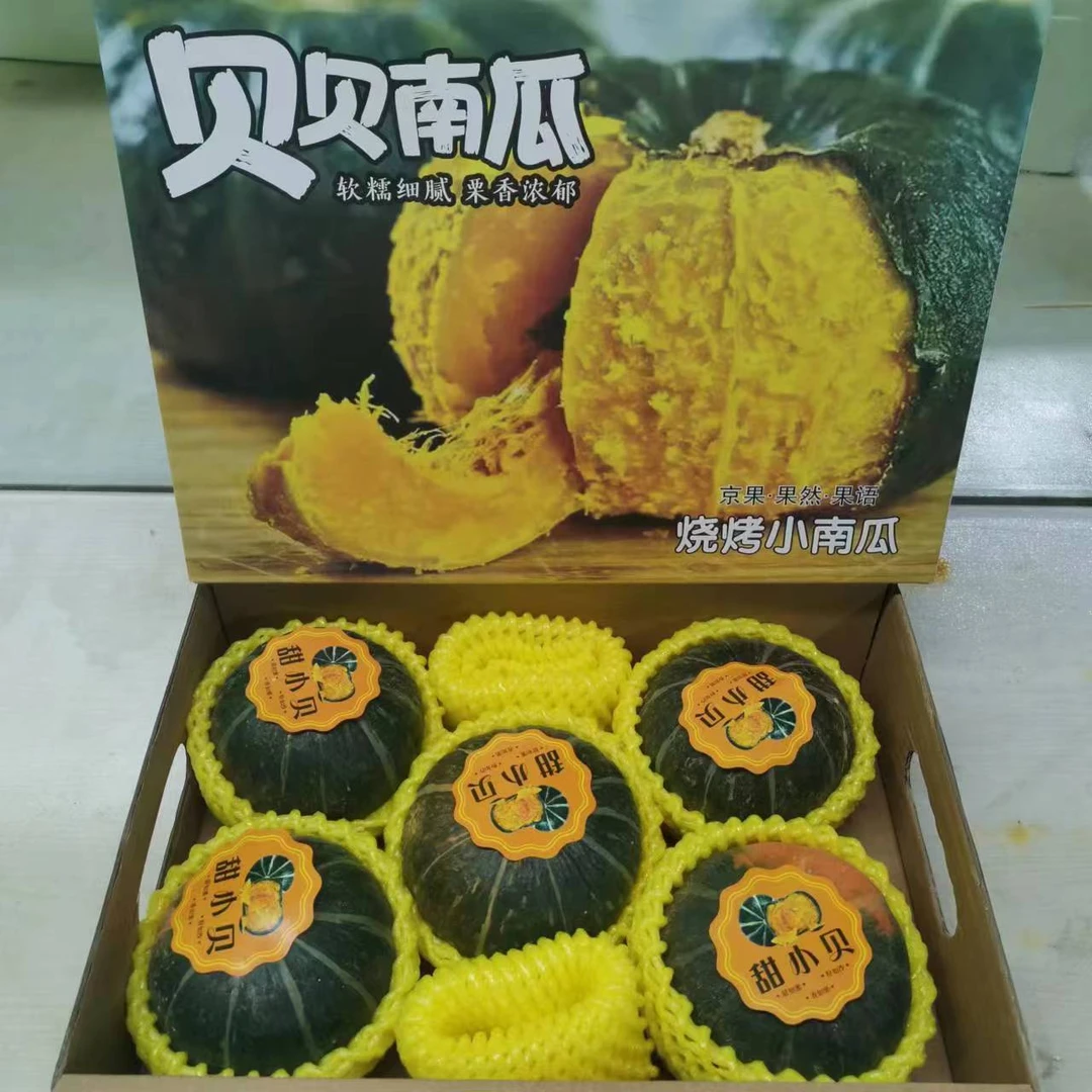 【箱】贝贝南瓜 软糯细腻栗香小南瓜 整箱带箱3.5斤以上