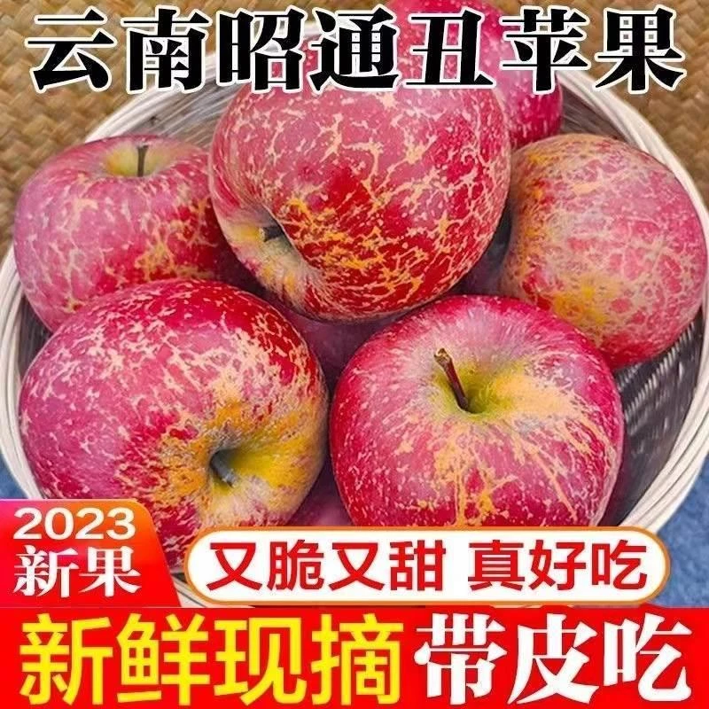 云南昭通丑苹果冰糖心苹果水果新鲜脆甜10斤红富士当季整箱包邮
